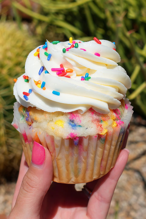Funfetti Cupcake from Caketini Image of a Funfetti Cupcake from Caketini