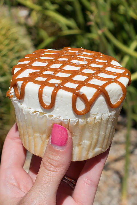 Salted Caramel Cupcake From Caketini Image of a Salted Caramel Cupcake From Caketini