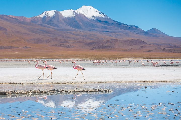 How to visit the Uyuni Salt Flat in Bolvia. It's easier than you think! Here's everything you need to know... Salar de Uyuni, Bolivia