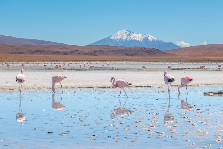 How to visit the Uyuni Salt Flat in Bolvia. It's easier than you think! Here's everything you need to know... Salar de Uyuni, Bolivia