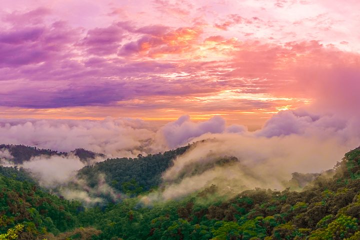 Mashpi Lodge in Ecuador is a bird watcher’s paradise!! Come see the colorful toucans, hummingbirds, and all kinds of exotic birds in the cloud forest of Ecuador.