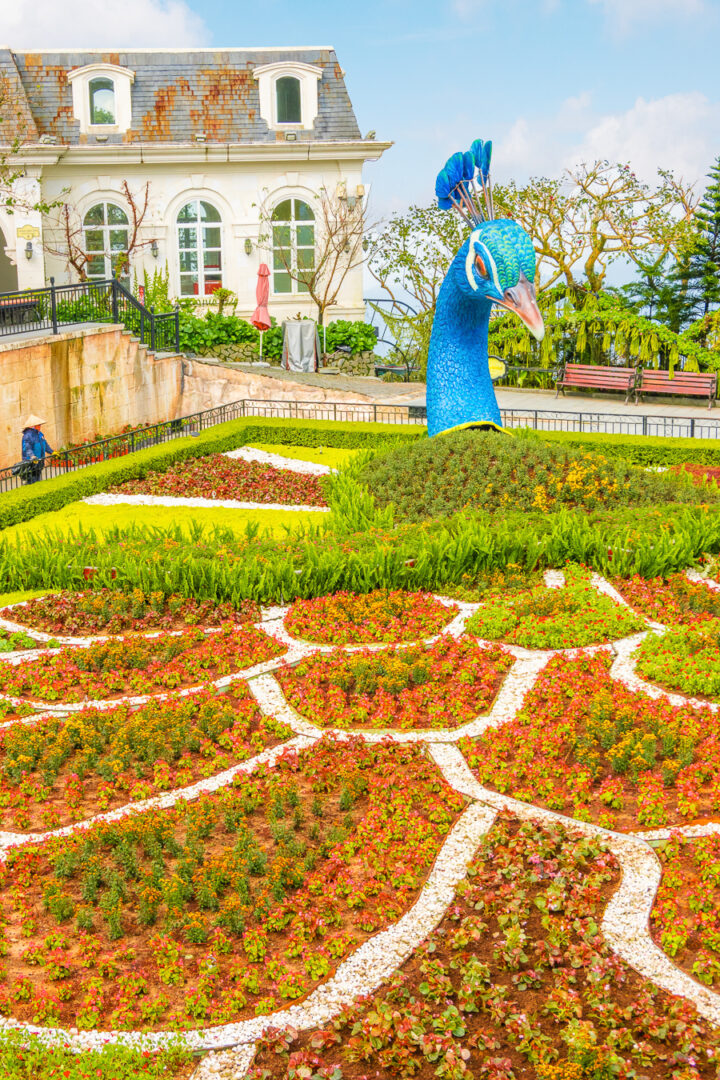 peacock garden